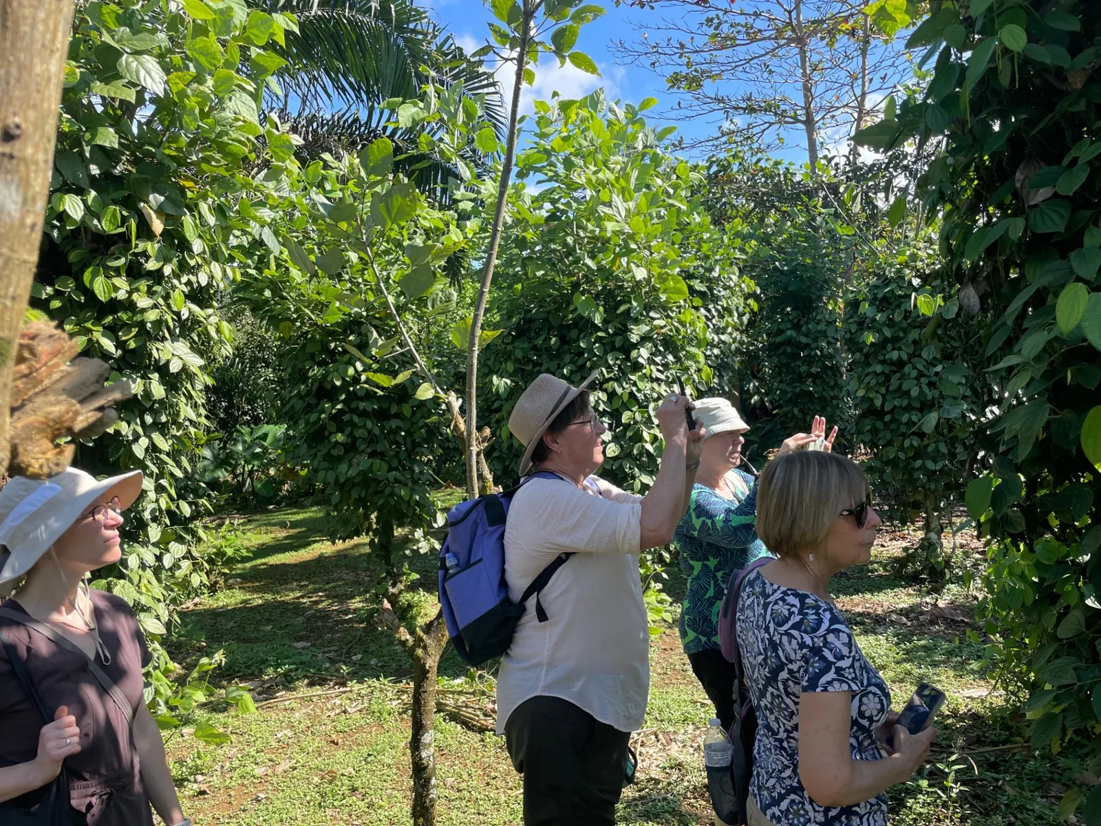 Cacao & Spices Experience Quepos (Transport & Meals) – photo 9