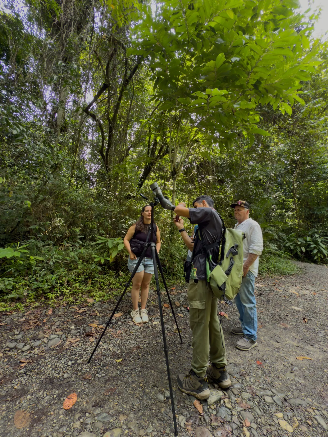 Manuel Antonio Guided Tour of Nature and Beaches – photo 3
