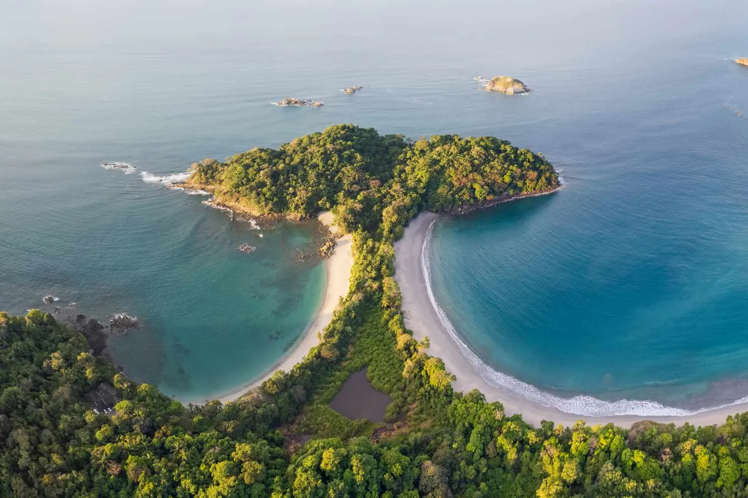 Manuel Antonio Guided Tour of Nature and Beaches – photo 9