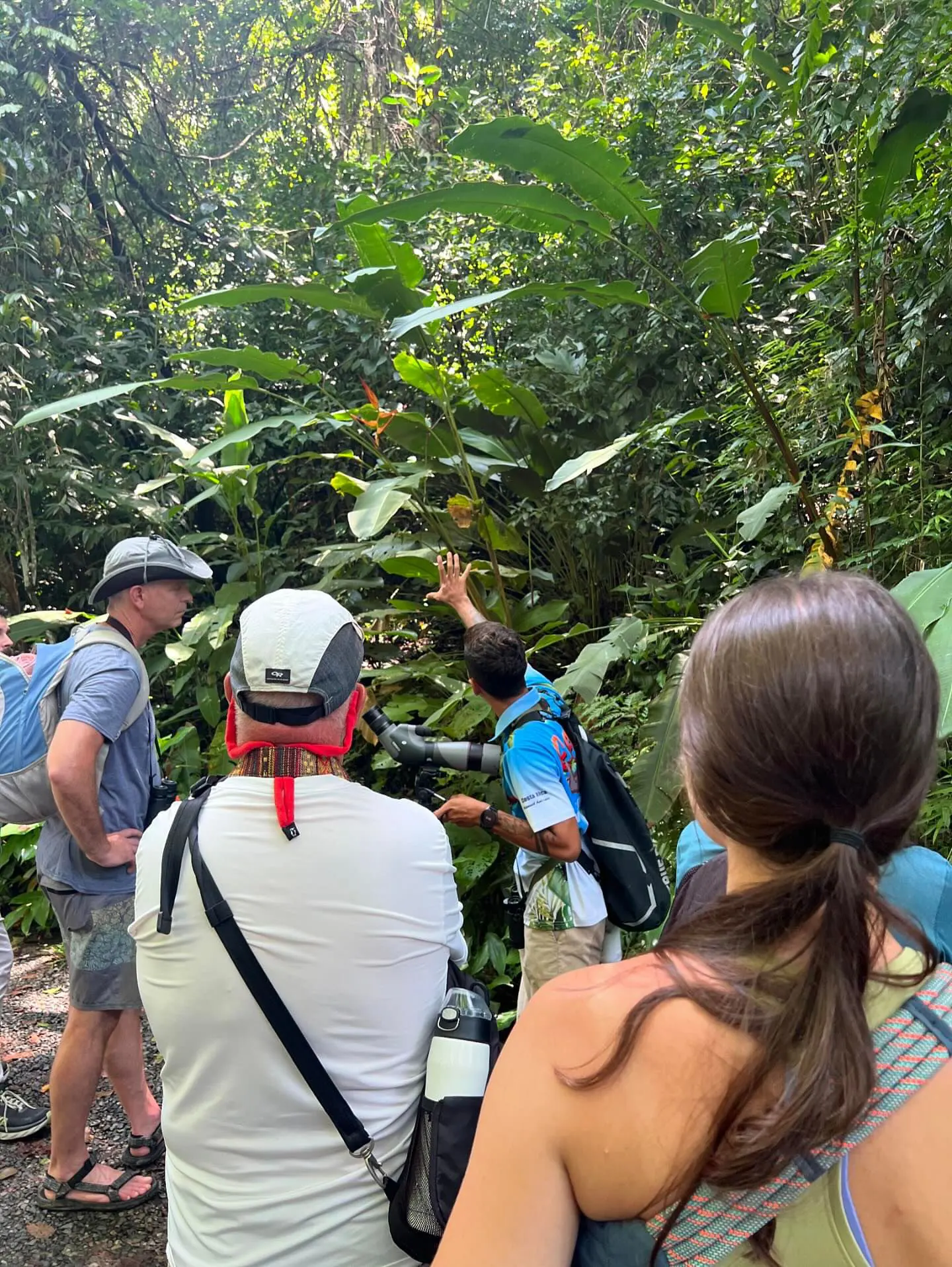 Manuel Antonio Guided Tour of Nature and Beaches – photo 8