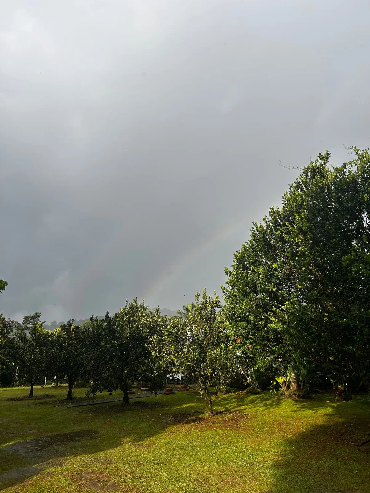 Cacao & Spices Experience Quepos (Transport & Meals) – photo 13