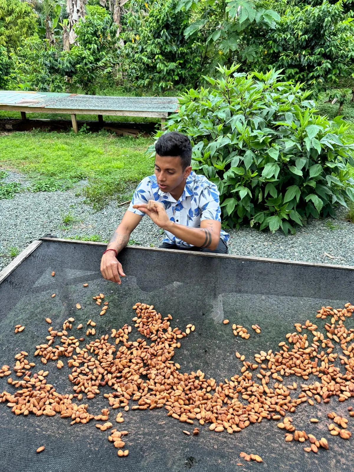 Cacao & Spices Experience Quepos (Transport & Meals) – photo 7